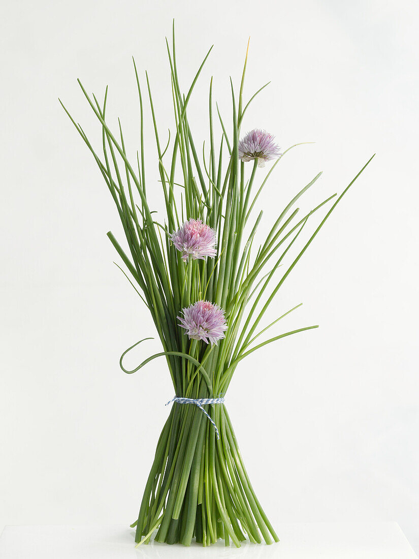 Fresh Chives