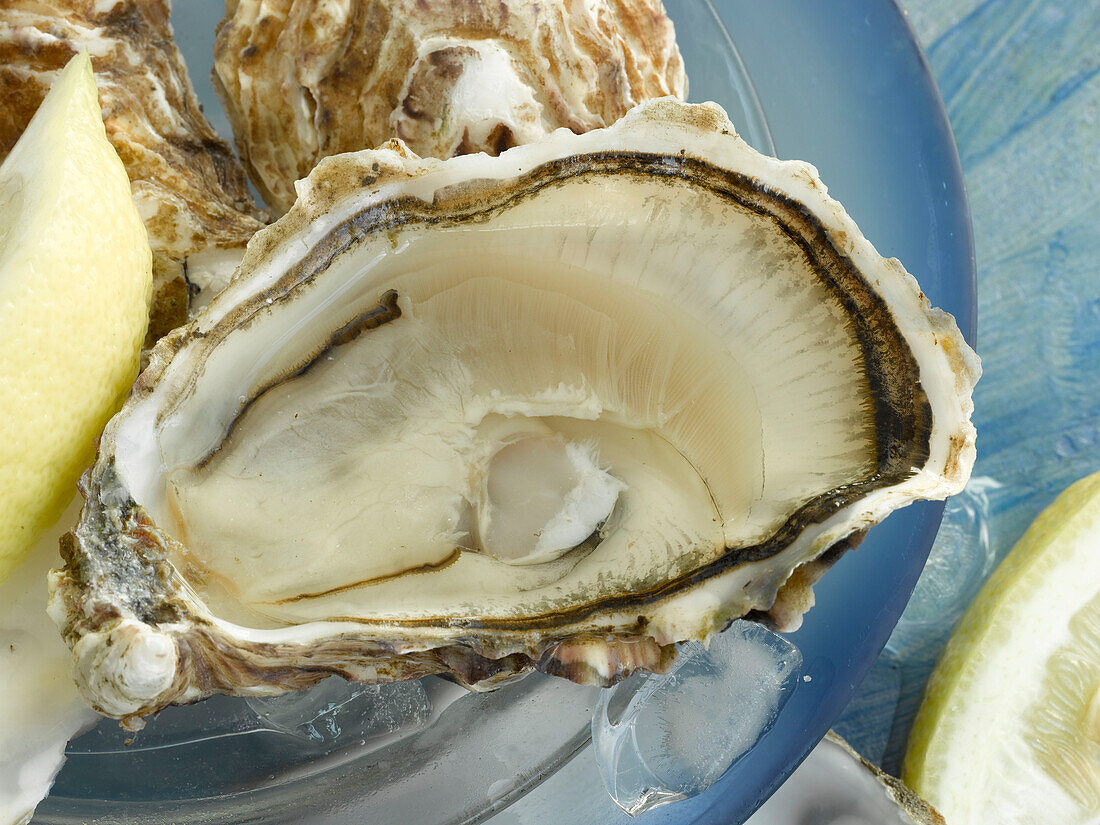 Geöffnete Auster (Nahaufnahme)