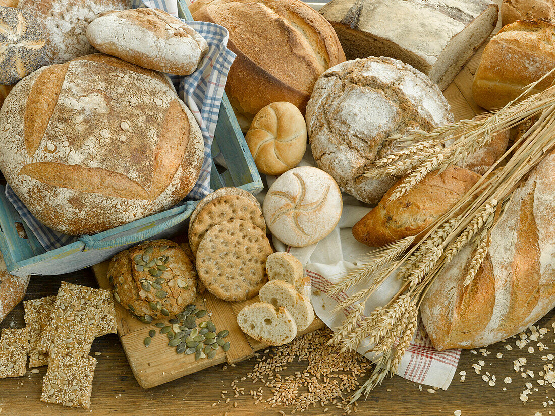 An arrangement of various types of bread