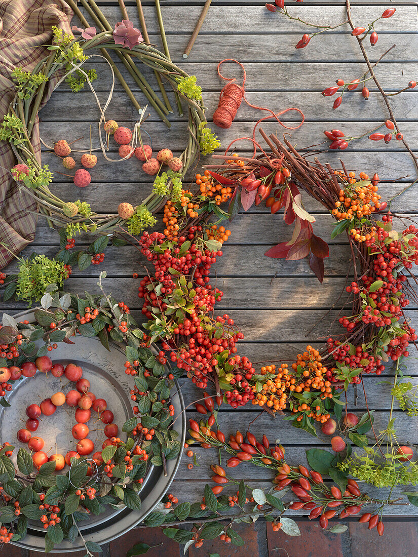 Autumn wreaths made of willow branches: Cotoneaster wreath with ornamental apple chain and firethorn wreath with rose hips