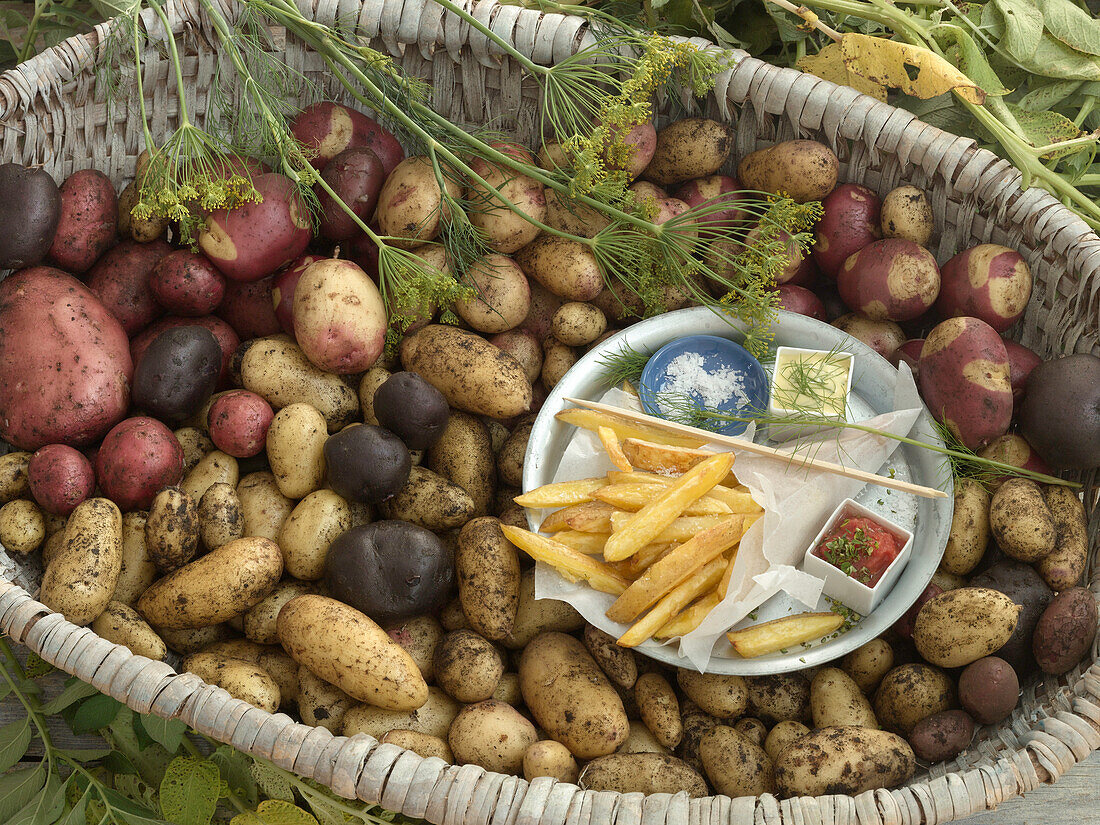 Plate of fries, mayonnaise, ketchup, and salt on potatoes in a basket