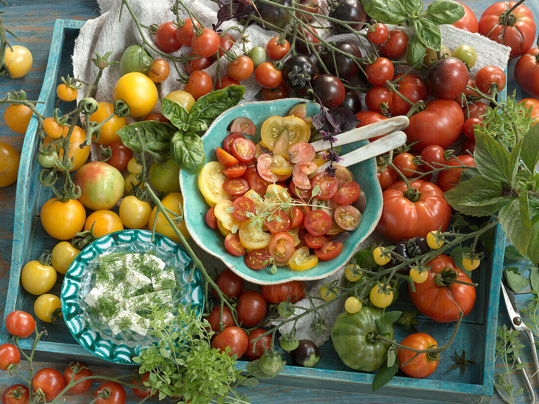 Tomaten, Tomatensalat mit Zitronenvinaigrette und Feta mit Kräutern