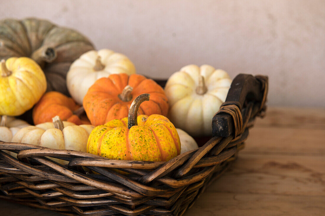 Various types of pumpkins arranged on wooden table