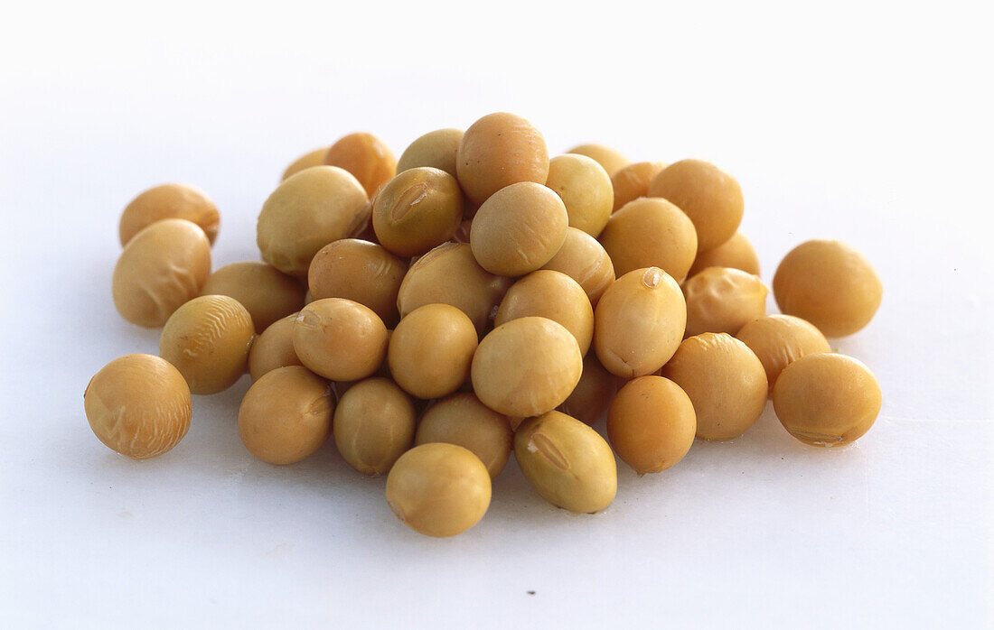 A pile of soybeans, on a light background