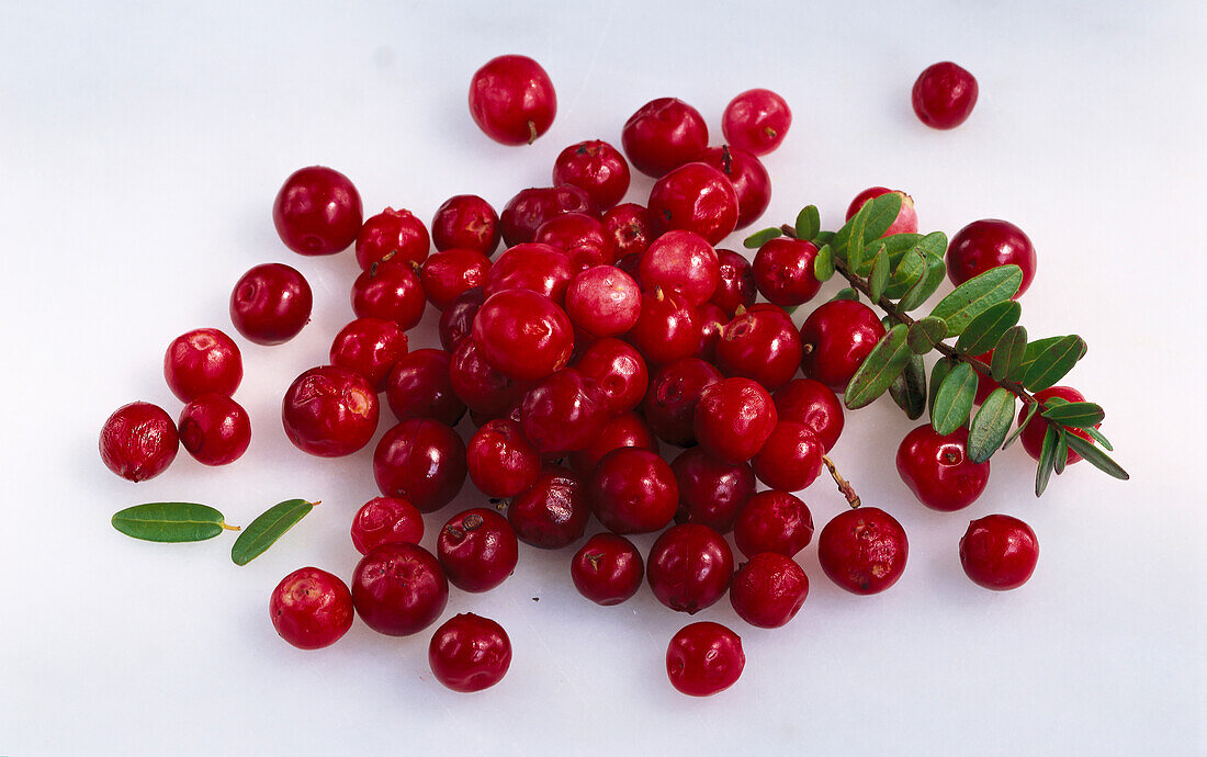 Preiselbeeren auf hellem Untergrund