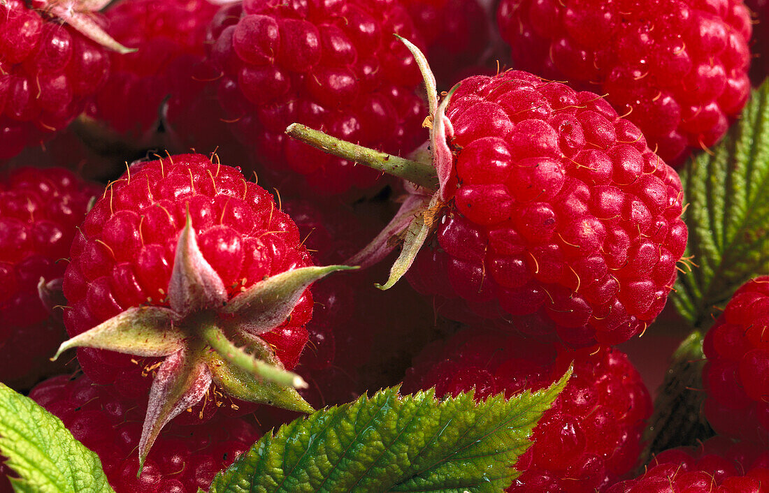 Fresh raspberries (full-frame)