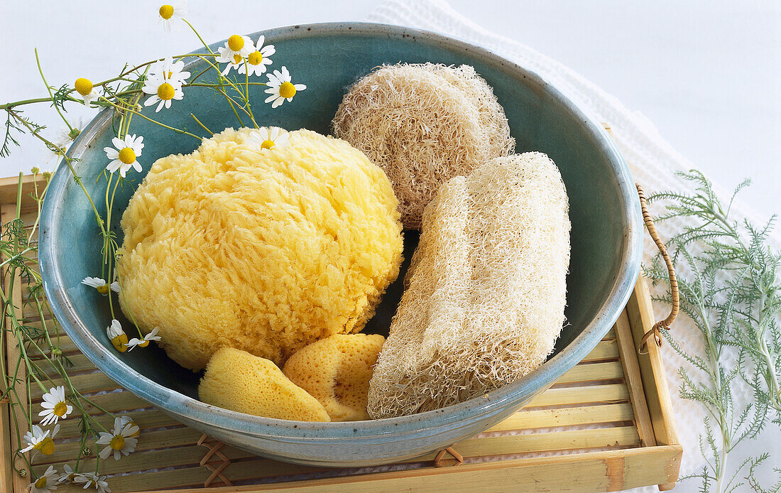 Bowl with three bath sponges, two loofahs and camomile blossoms