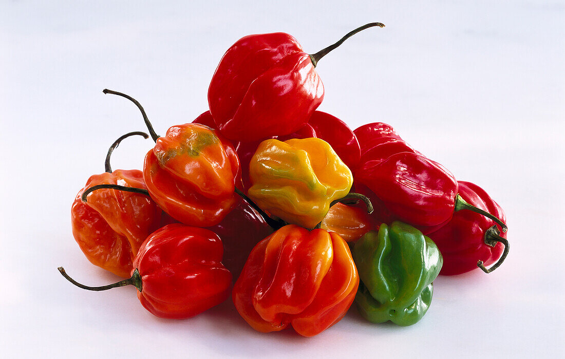 Colorful habaneros on a white background