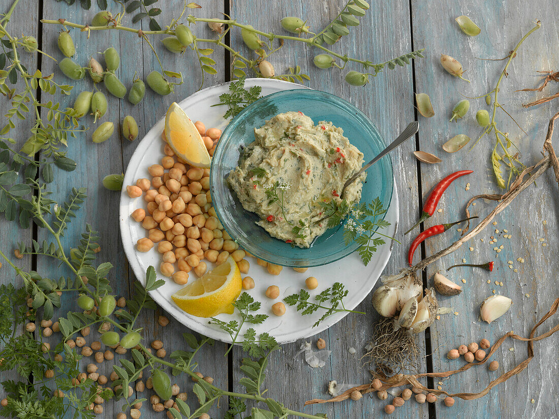 Kichererbsen, Hummus mit Kerbel, Knoblauch und Chili und Kichererbsenpflanze