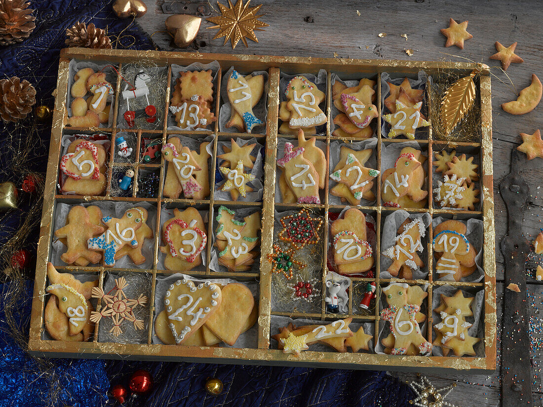 Advent calendar with biscuits in a seed tray