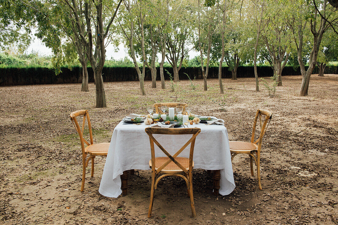 Table setting decorated with candles and cones placed near wooden chairs for Christmas dinner in nature