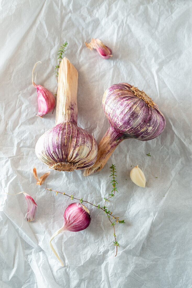 Garlic Pods on White paper background