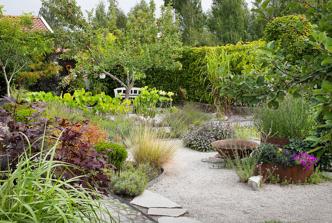 Variously planted garden with gravel path and bench