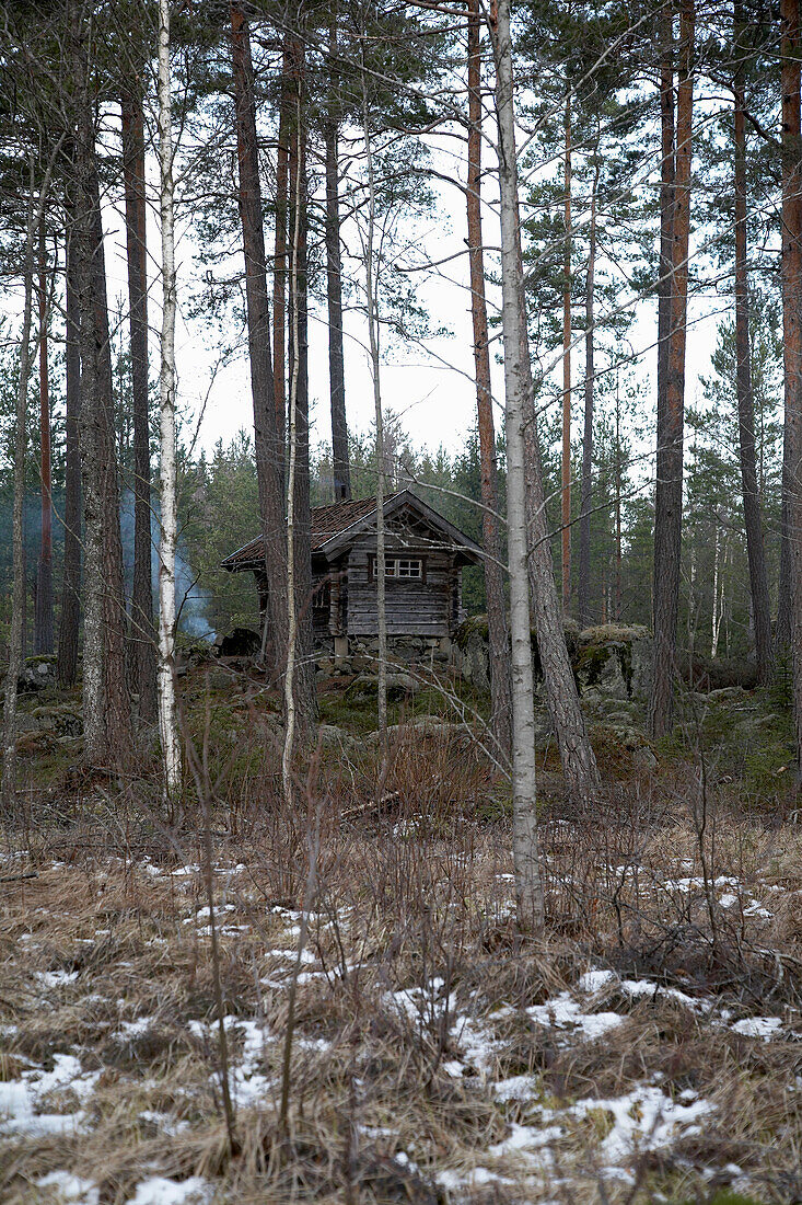 Log cabin in Svartadalen forest, Sweden