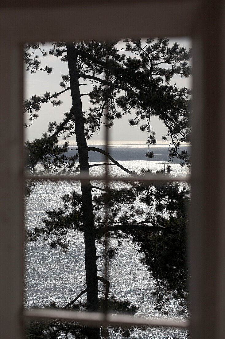 View to sea through Devon window