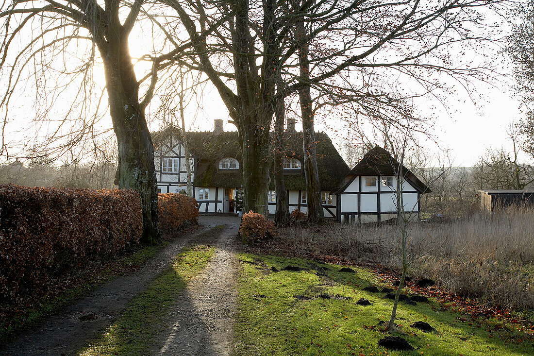 Dirt road leading to half timbered house