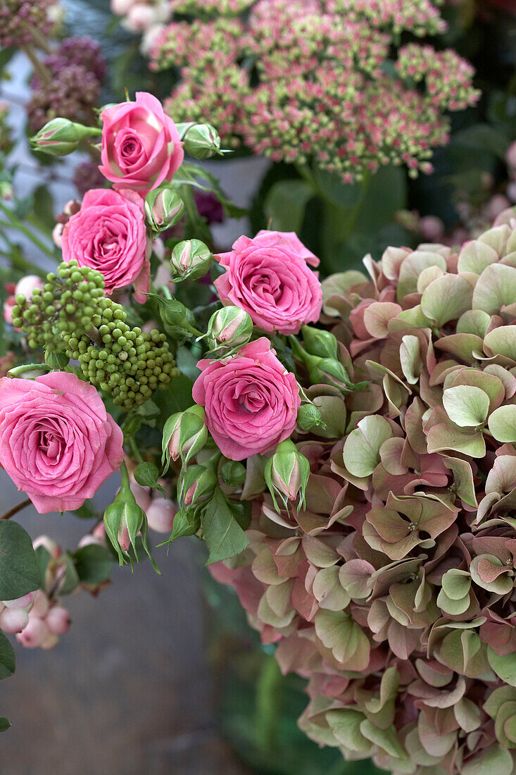 Pink peonies and Alchemilla Mollis