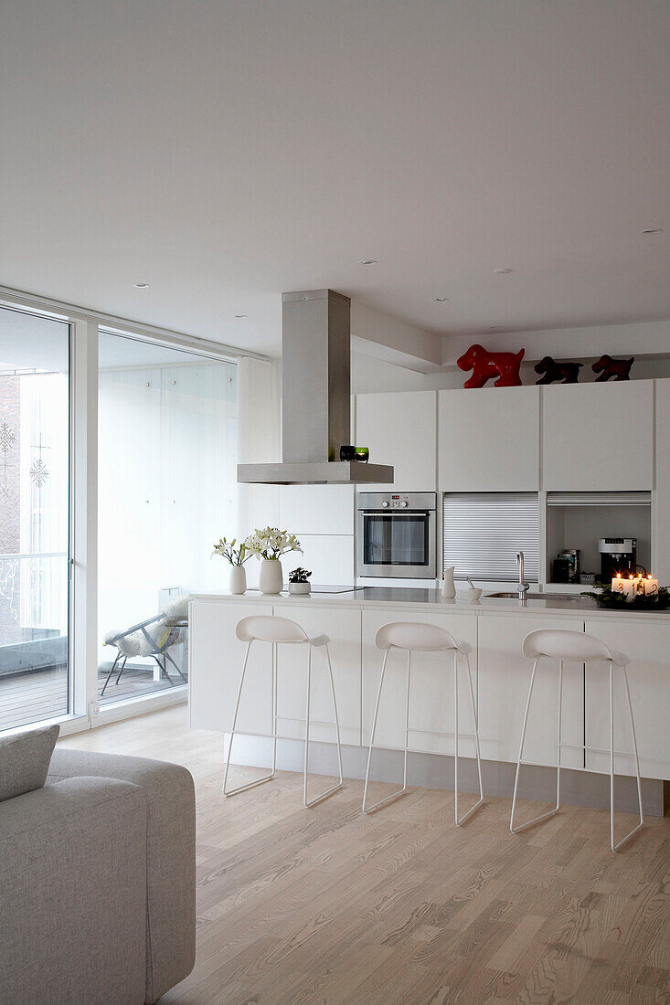 Modern kitchen with combined living room