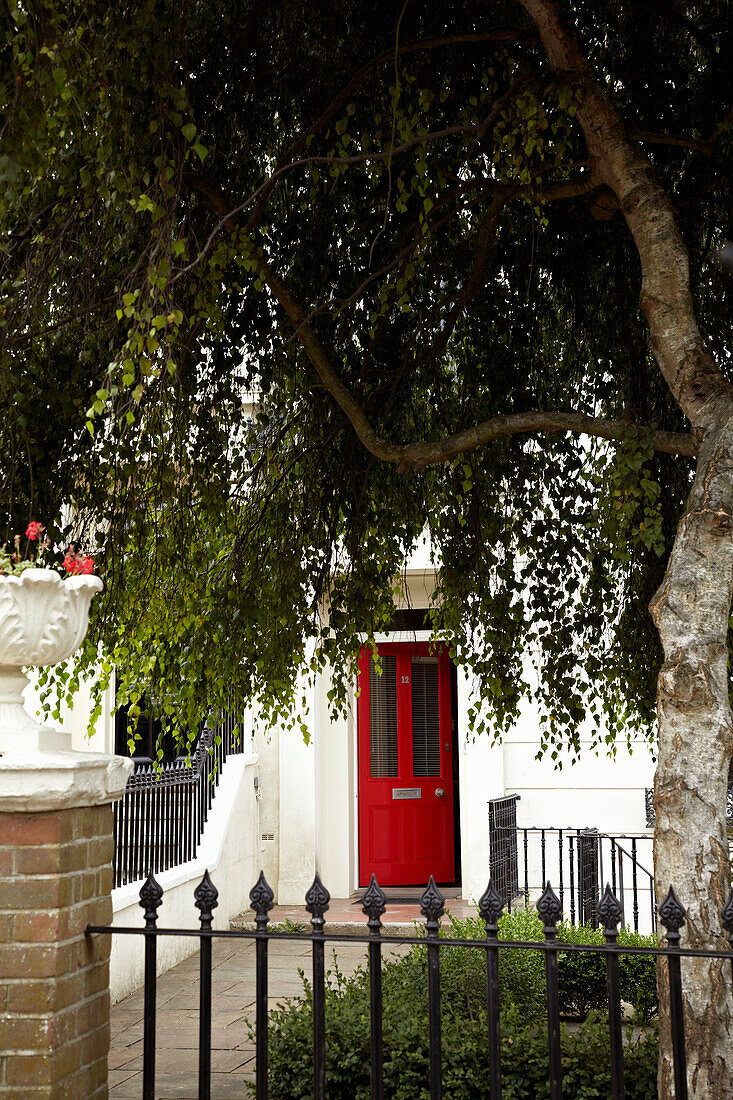 Rote Haustür und Baum im Vorgarten eines Stadthauses in Brighton, Sussex, England, UK