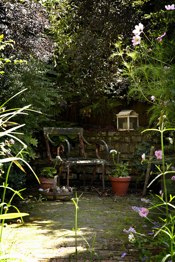 Back garden of Brighton townhouse, Sussex, England, UK