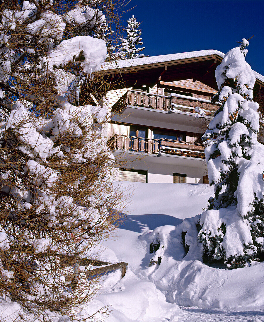 Exterior of Swiss chalet with snow covered trees