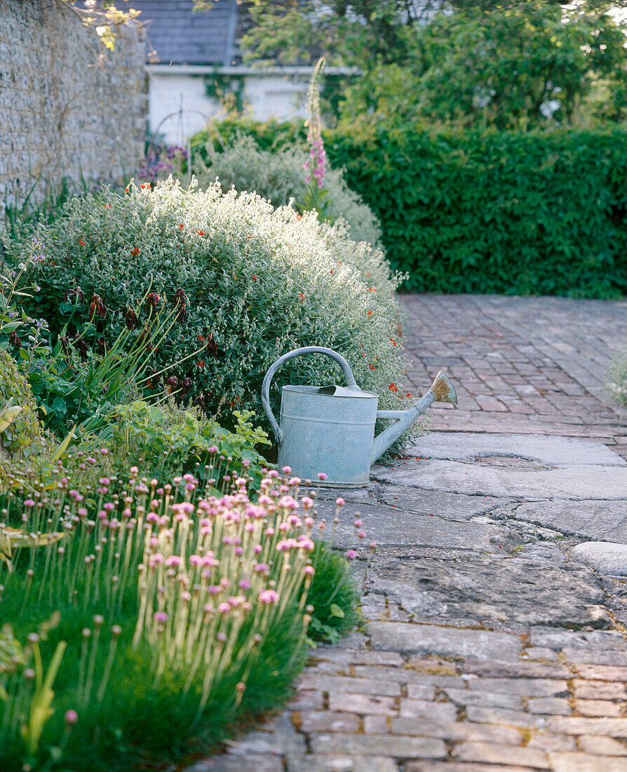 Ein Detail eines Gartenpflasters mit Blumenrabatten, Gießkannensträuchern und Hecken