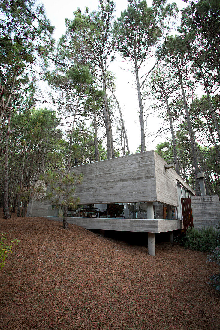 Modern concrete home in woodland, Argentina