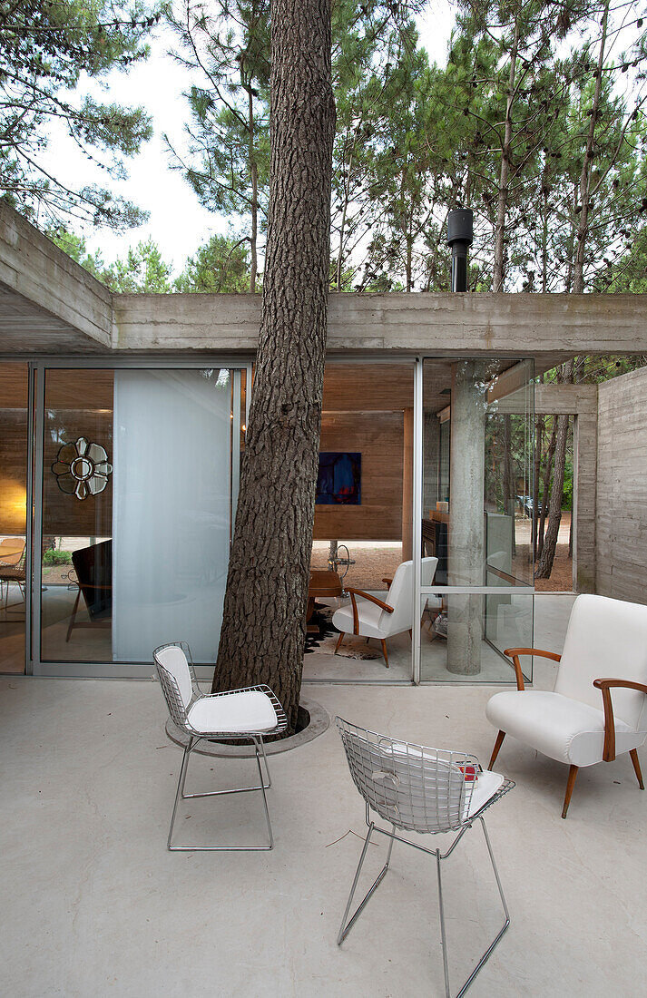 Modern concrete home in woodland, Argentina