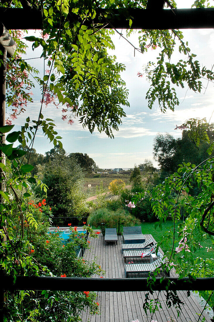 Sun loungers on poolside decking