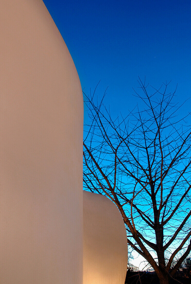 Moderne Stuckfassade und Baum