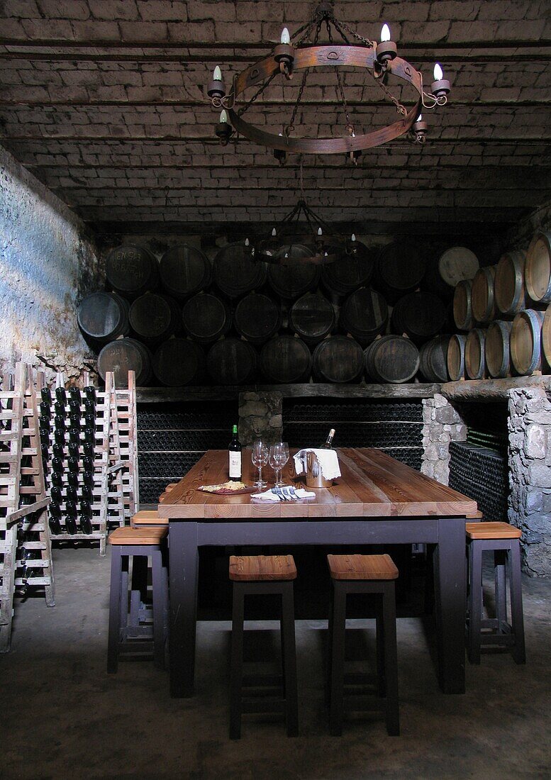 Table in wine cellar, Carmelo, Uruguay