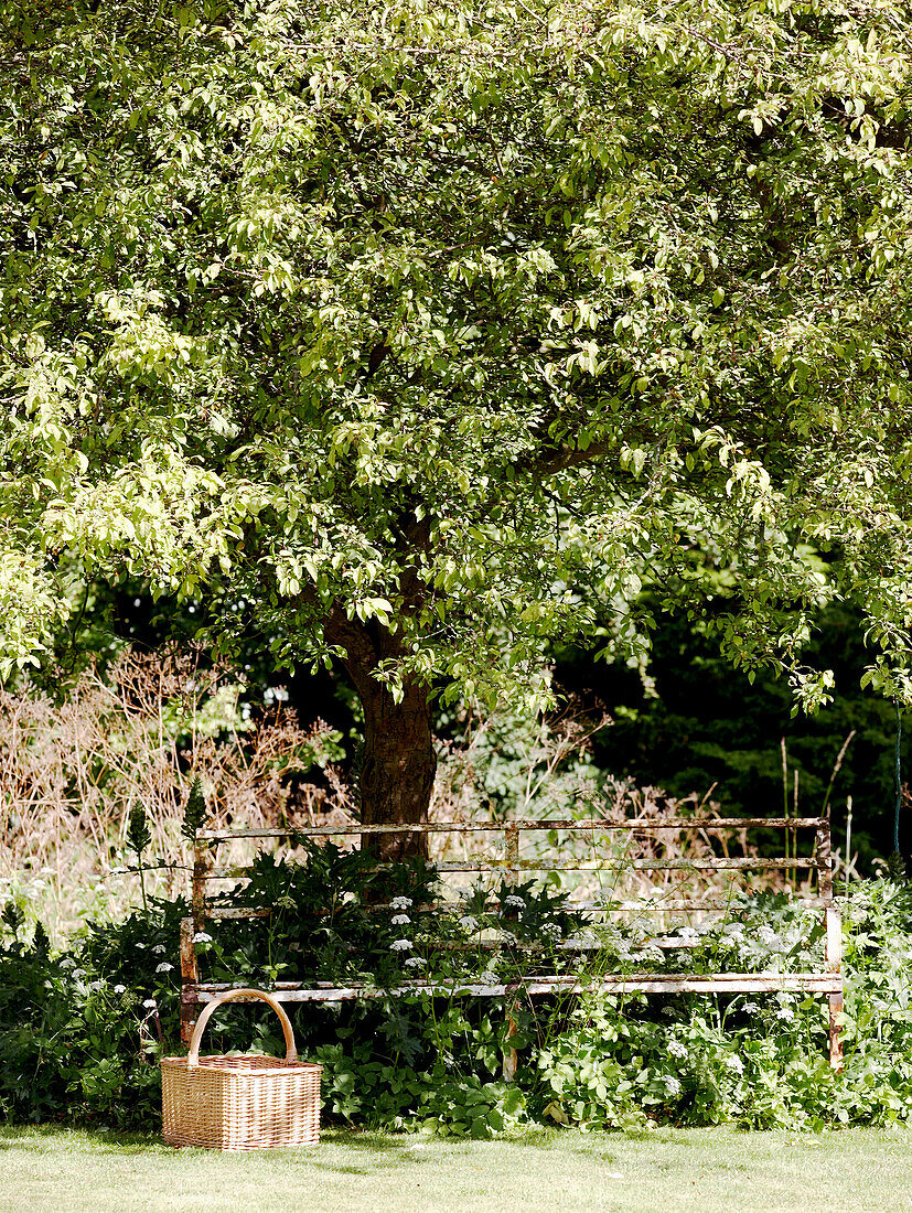 Gartenbank und Weidenkorb im Schatten eines Obstbaums auf dem Gelände eines Hauses in Oxfordshire aus dem 17. Jh.