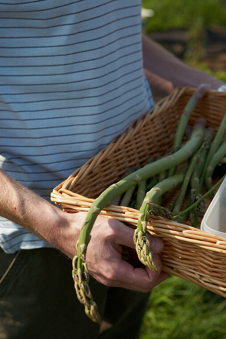 Man walks towards gate in Gloucestershire meadow carrying basket