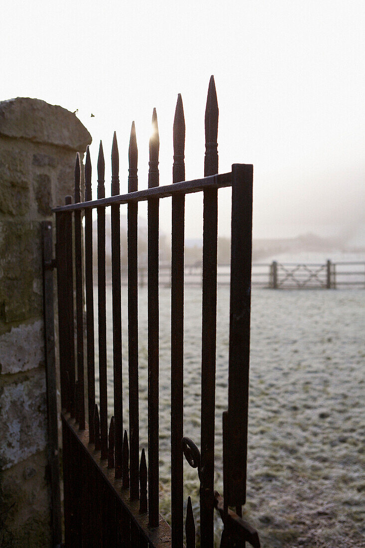 1840s Victorian gate with view onto morning frost on open field