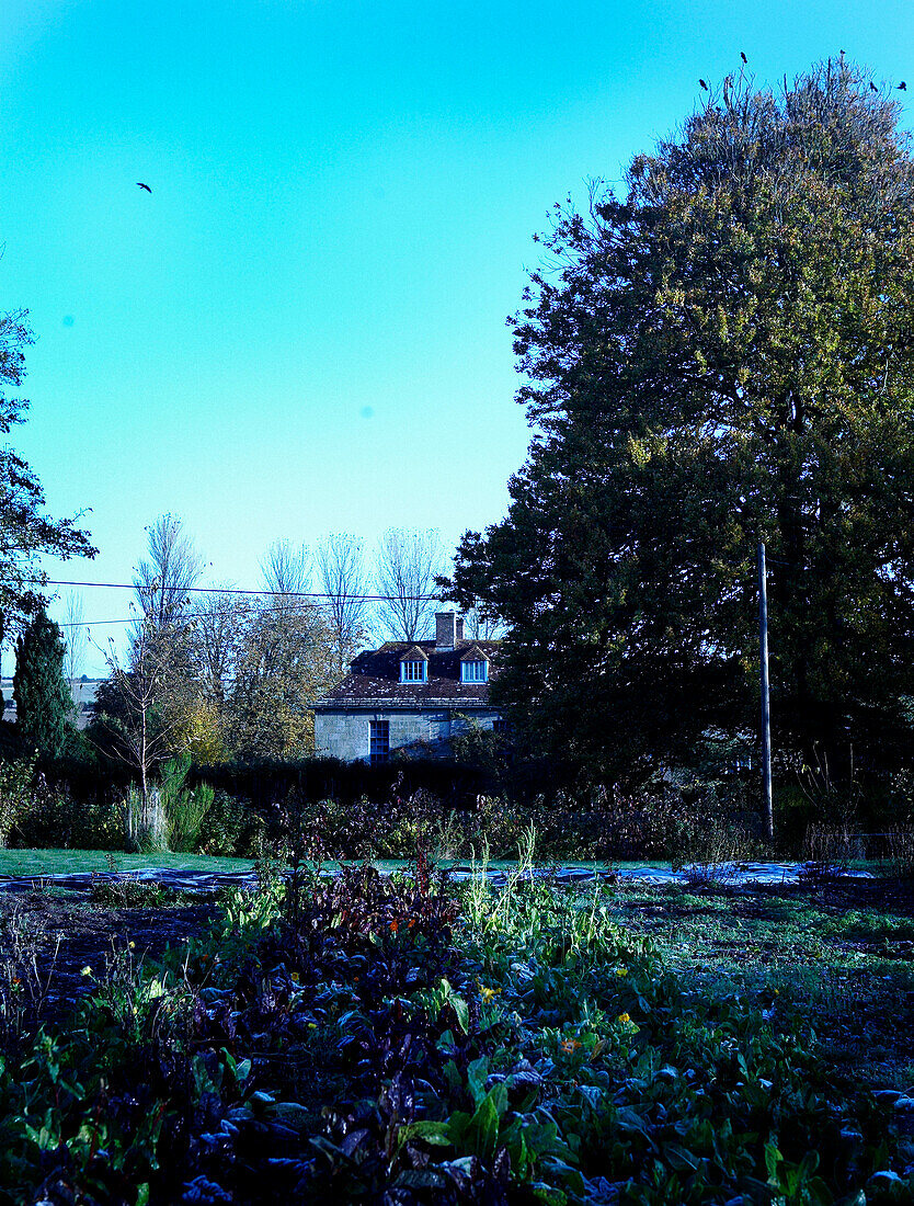 Country house and vegetable garden