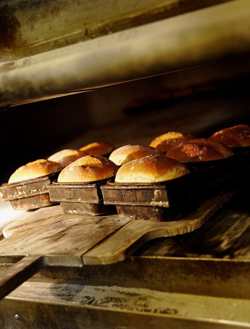 Loaves of bread in tins fresh from the oven