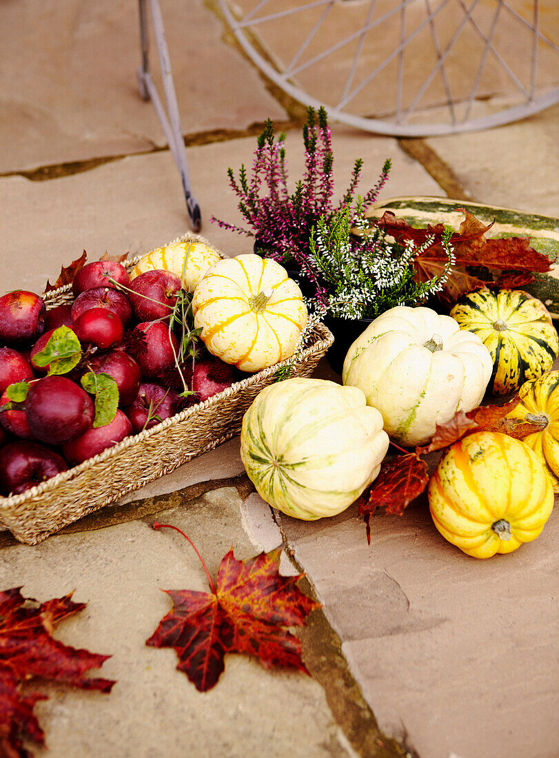 Herbstgemüse und Obst auf Pflastersteinen