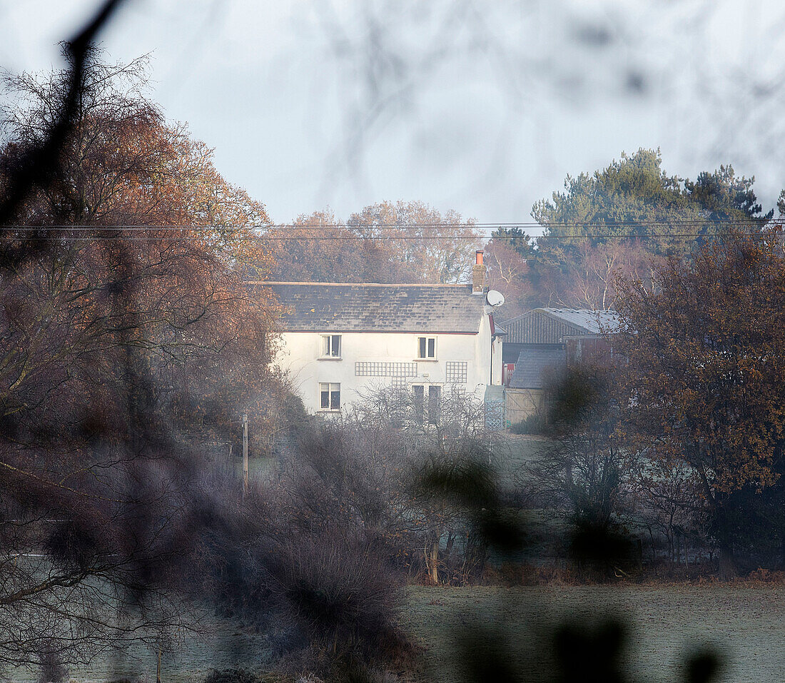 Landhaus durch Bäume gesehen