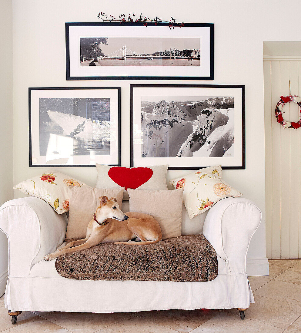 Dog sitting on two seater sofa below black and white photographic artwork