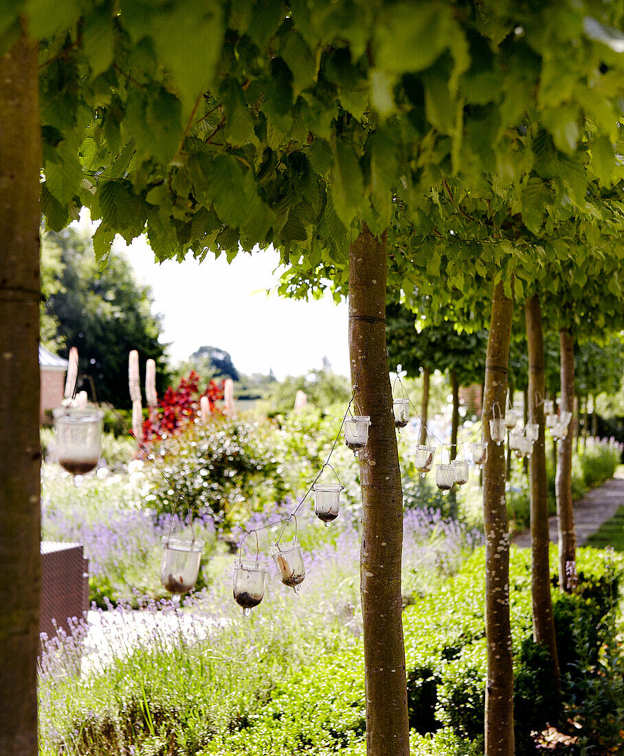 Candle holders hang from trees in back garden