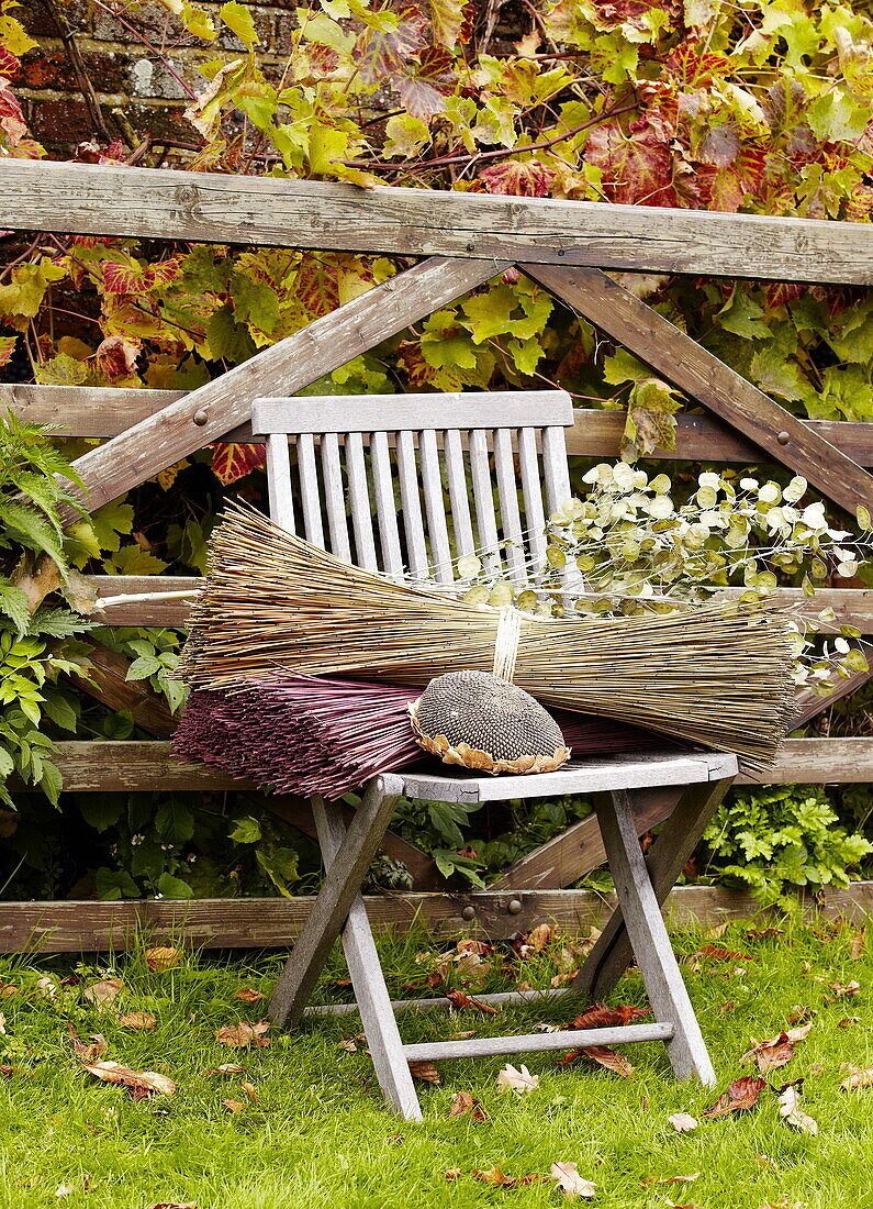 Dried flowers on wooden chair at gate in Essex garden England UK