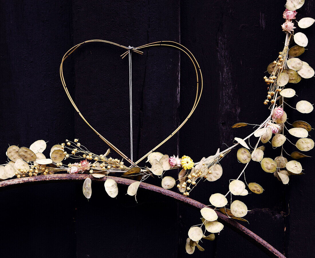 Heart shape and dried flowers Honesty (Lunaria annua) Essex England UK