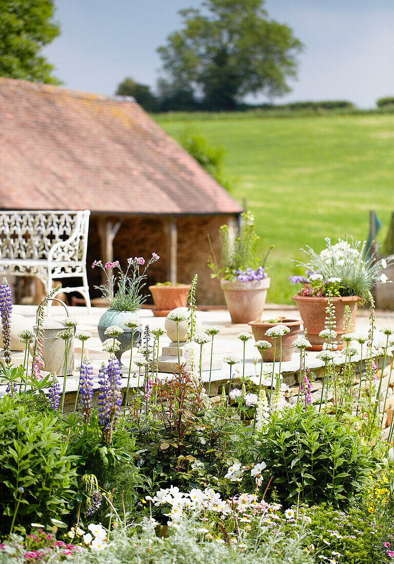 Blühende Pflanzen und Topfpflanzen auf der Terrasse eines Landhauses in Oxfordshire, England, UK