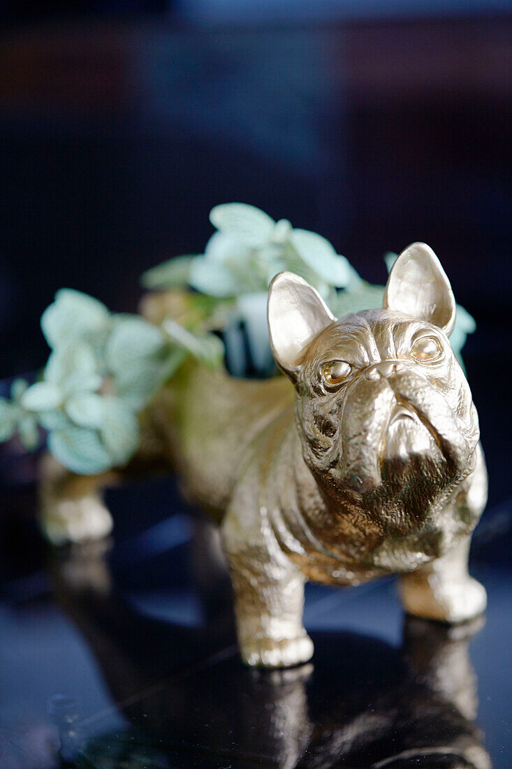 Goldener Bulldoggenschmuck in einem Haus in Warkworth, Auckland, Nordinsel, Neuseeland