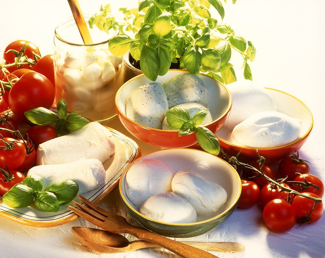 Stillleben mit mehreren Mozzarellasorten, Tomaten & Basilikum