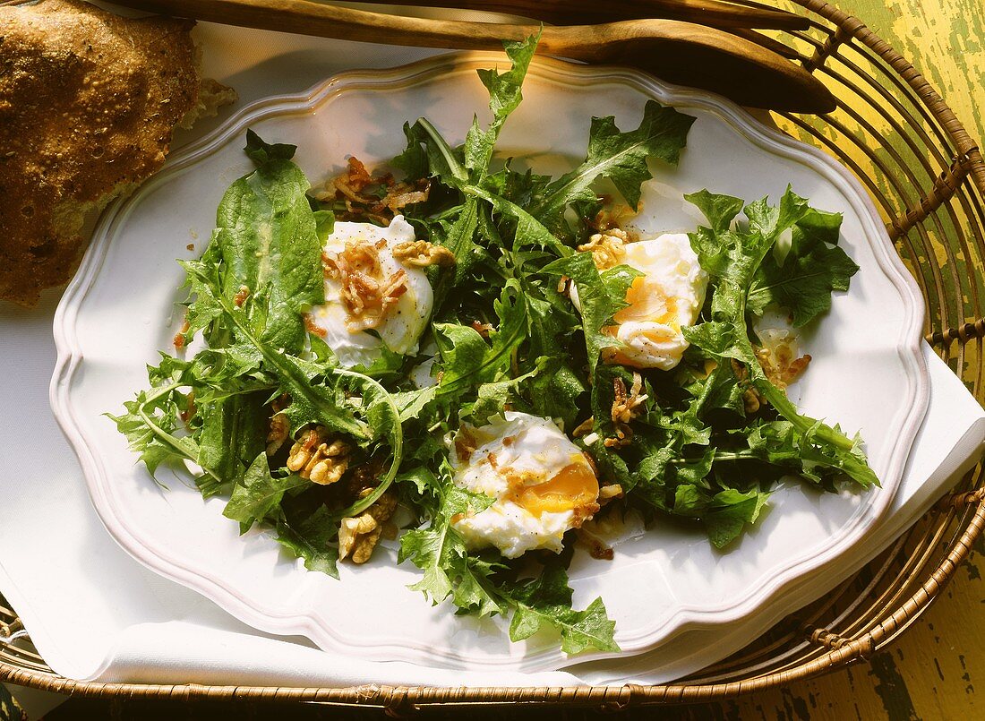 Dandelion salad with poached eggs, nuts and bacon