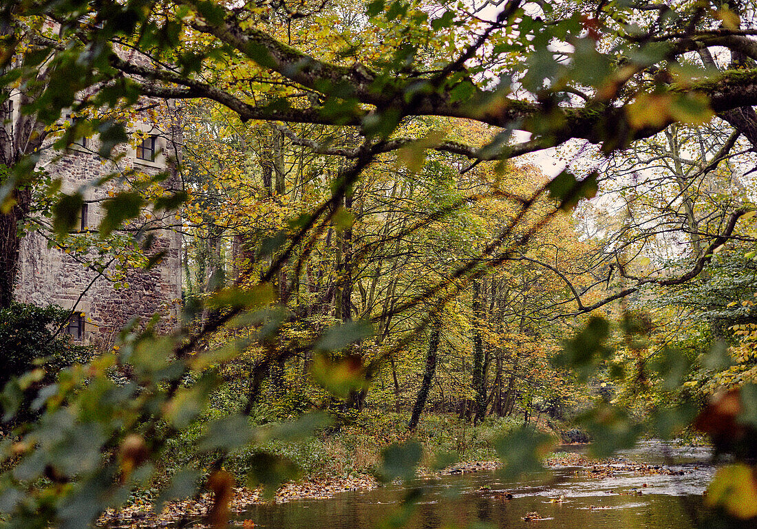 Stone exterior viewed through branches of Autumn trees of 19th Century Grain Mill in the Scottish Borders