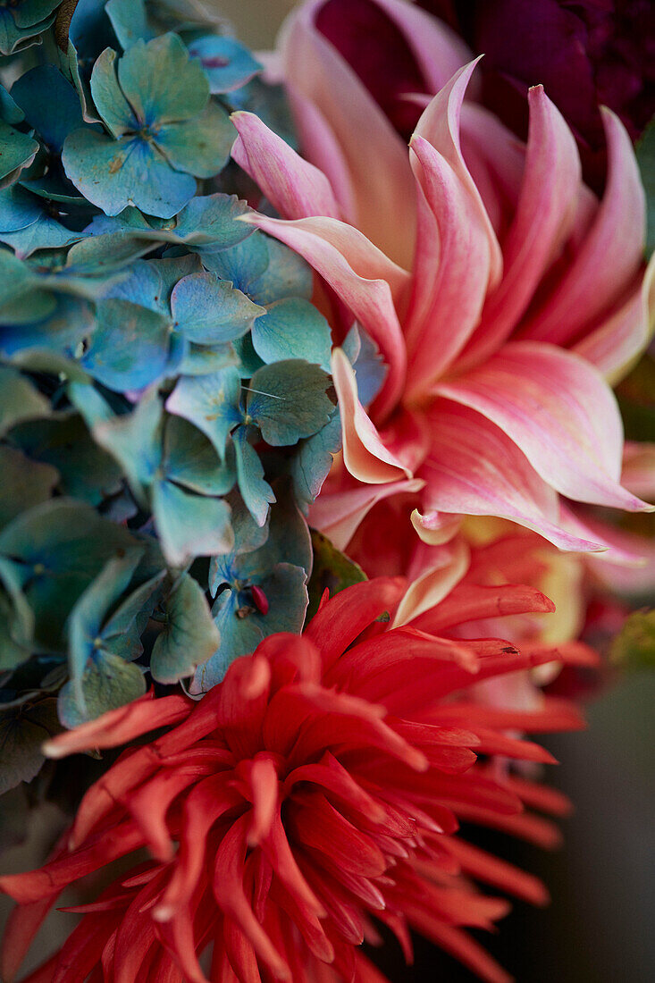 Flower detail inside The Majestic bus near Hay-on-Wye, Wales, UK