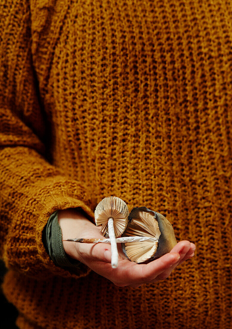 Mid section of artist holding toadstools in Gladestry on South Wales borders