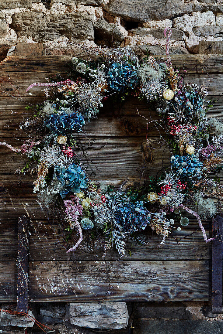 Blue hydrangeas in Christmas wreath on wood cladding in cabin on Radnorshire-Herefordshire border, UK